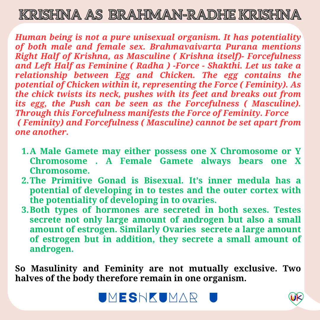 KRISHNA AS BRAHMAN -RADHE KRISHNA